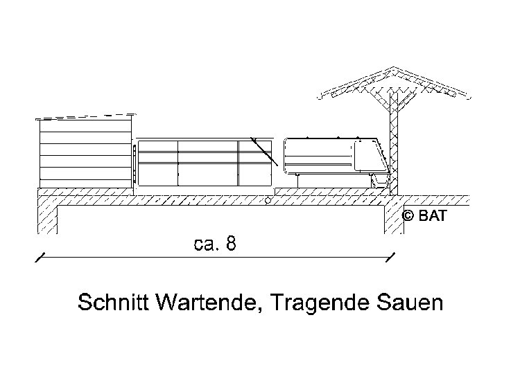 Ansicht Sauenhaltung